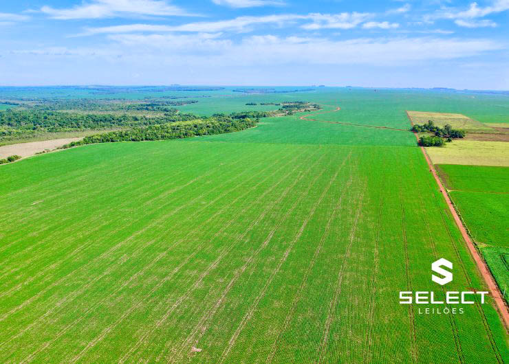1ª vara de execução de campo grande - ms - fazenda com 335 hectares a 90km de campo grande ms. data estimada, a designar